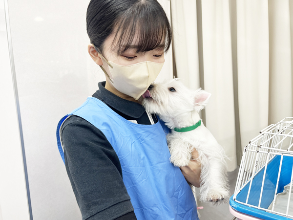 ☆子犬のお世話☆